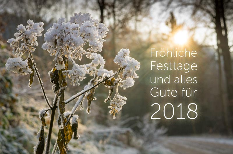 Variotec Schweiz wünscht fröhliche Festtage und alles Gute für 2018